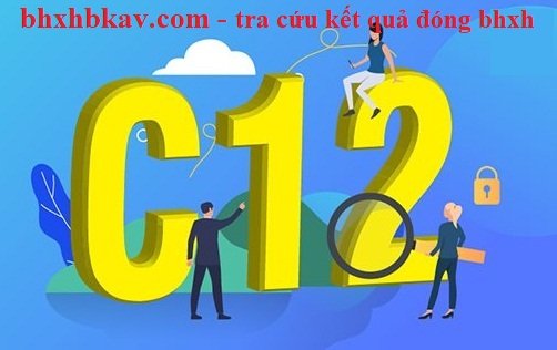 Tra cứu kết quả đóng bhxh trên phần mềm ivan bkav
